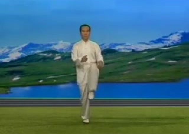 Rate Pancréas Estomac par Maître Zhang Guangde