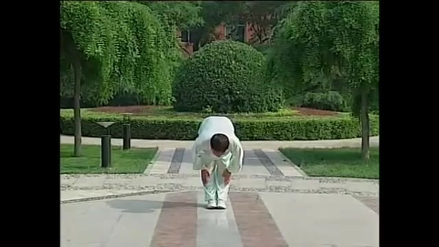 Vidéo Forme pour les Reins version 2 de Zhang Guangde