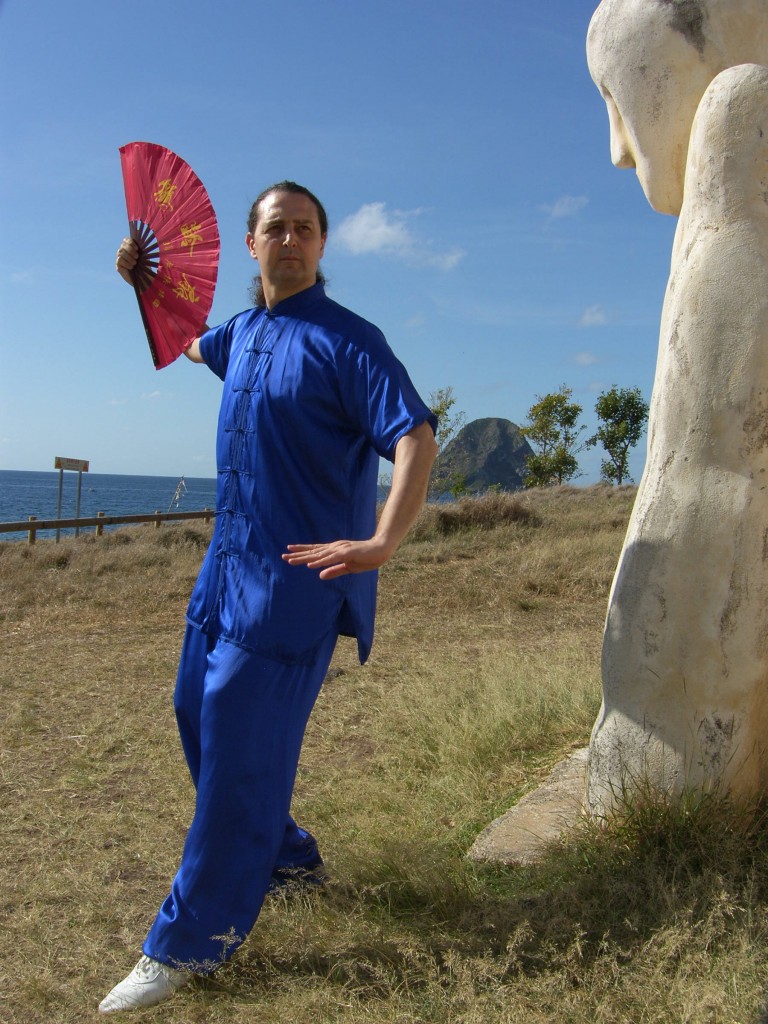 Postures TAIJI QUAN — photo 1