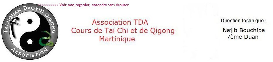 Logo Taijiquan Daoyin Qigong Association